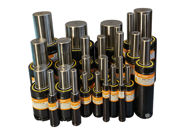 Die Gas Spring
