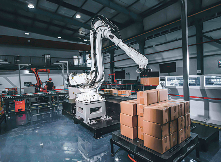 Palletizing robots and balance cylinders